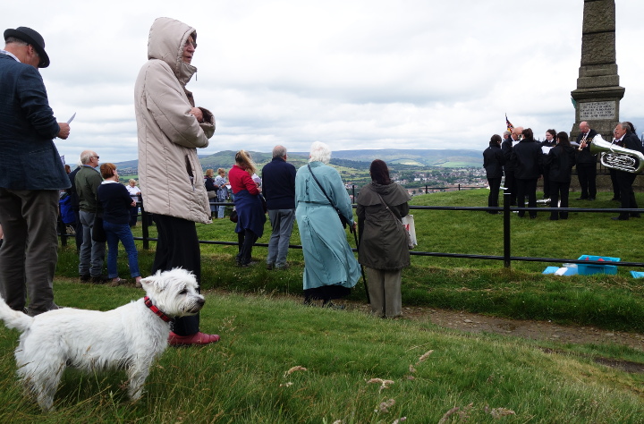 A dog evjoying the fresh air.