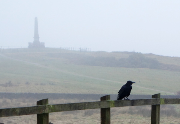 The cenotaph in the clouds, bird perched on fence looking miserable.