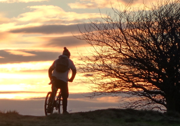 A man riding a bike into the sunset.