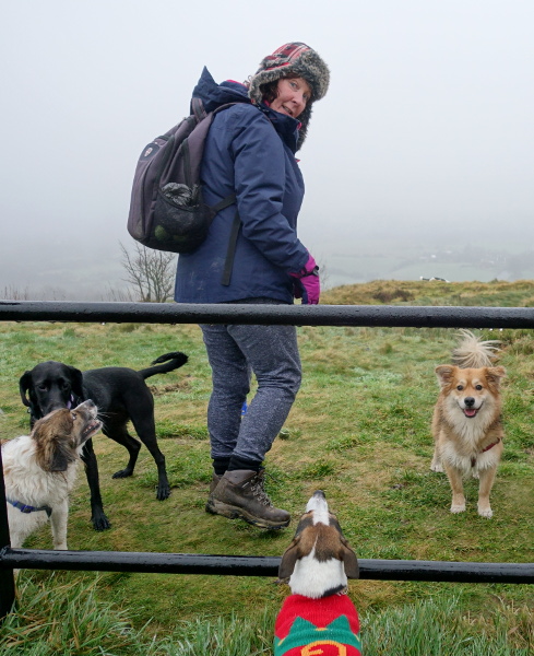 A dogwalker with four dogs and a particularly pleasant smile.