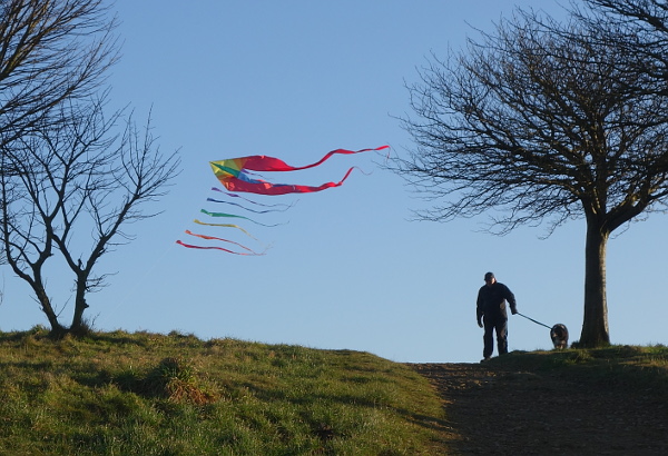 A gigantic kite dwarfing a dogwalker.